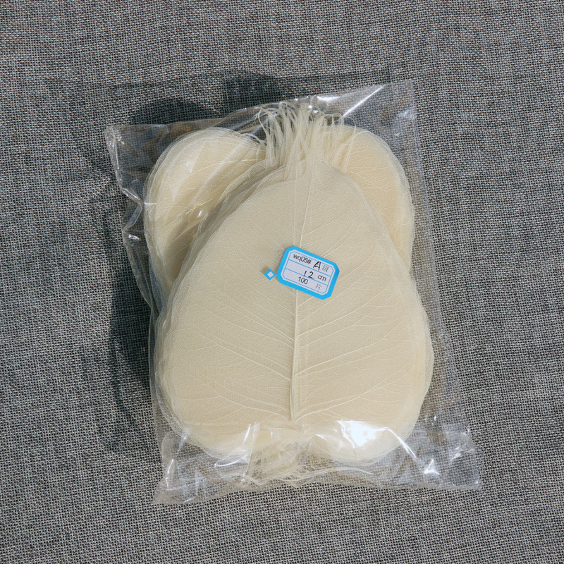 Bodhi list so žilami – sušený list so žilami, nezafarbený, určený na nástennú dekoráciu a materiál na záložku