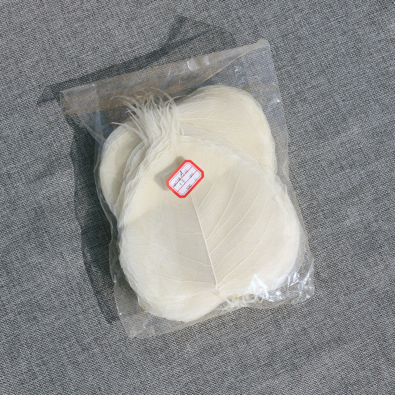 Bodhi list so žilami – sušený list so žilami, nezafarbený, určený na nástennú dekoráciu a materiál na záložku