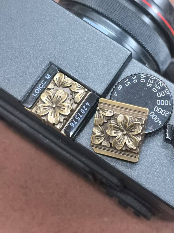 Kapa za hot shoe kućicu fotoaparata, kompatibilan s Leica, Fuji, Nikon, Canon, Sony i Ricoh GR, s univerzalnim navojem, zaštita od prašine, OEM obrada, u prozirnoj ZIP vrećici