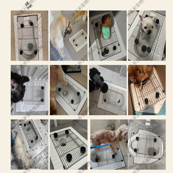 Συσκευή σταθερού σημείου αφόδευσης σκύλου με διχτυωτό από ανοξείδωτο ατσάλι, μοντέλο F97H8676TJJ8JM