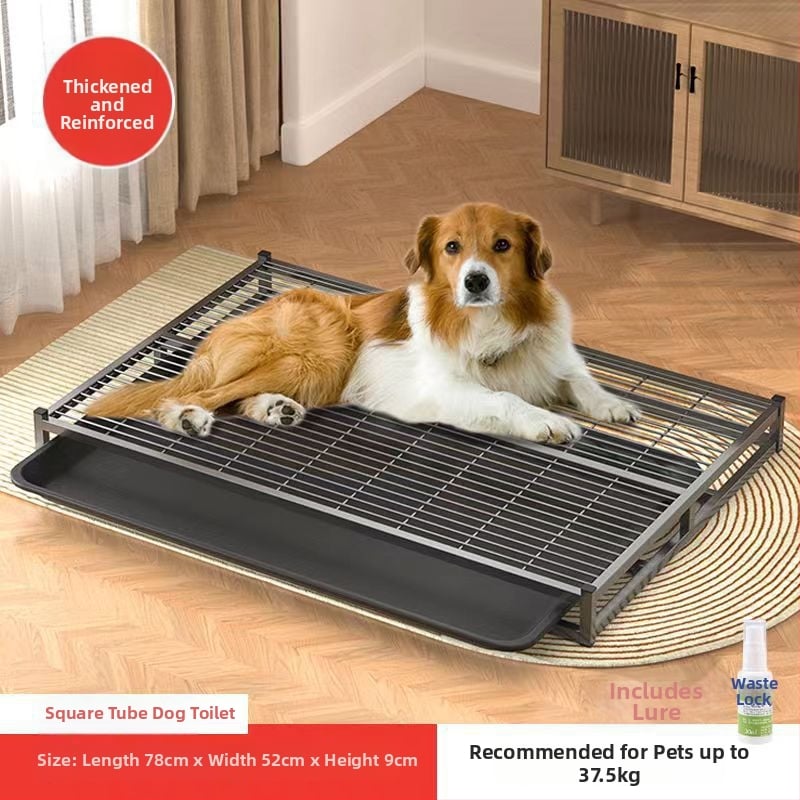 Πλέγμα πλαίσιο τουαλέτας σκύλου – στιβαρό, ανθεκτικό στην πίεση; άμεσος καθαρισμός και ξέπλυμα – Μοντέλο ER88ArQs, Μάρκα Domestic Brand, Υλικό: Other