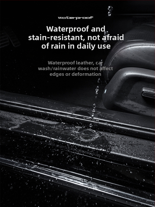 BYD E2 Benzi Prag Ușă și Pedala de Întâmpinare Antiderapantă – Accesorii Interioare de Modificare