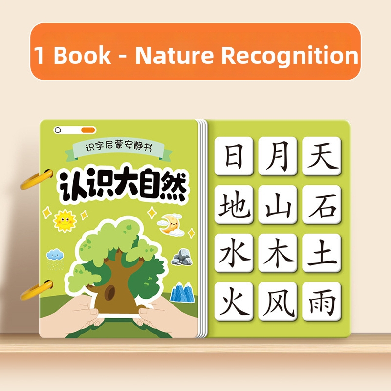 Rahu raamat varaseks lugemisoskuseks ikoonkaartide ja kleepsukomplektiga; 3–6 aastat; materjal: paber; kaubamärk: Pasien