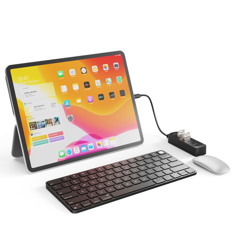 Wind Spirit Fl11 USB 2.0 4-portni hub, 480 Mbps, napajanjem putem sabirnice, 20 cm kabel