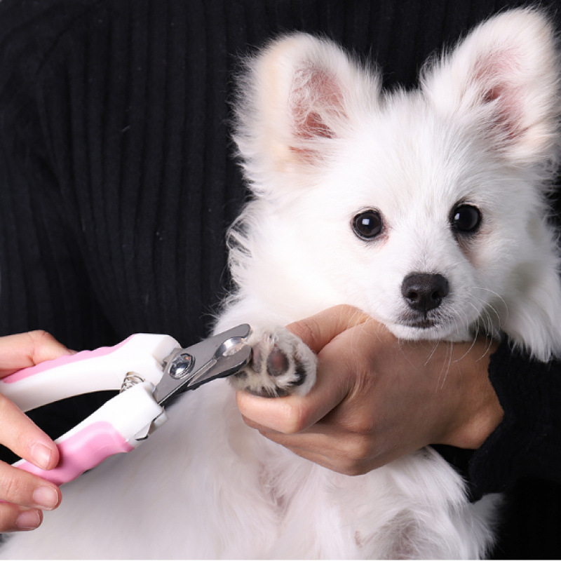 Clește de unghii pentru animale de companie și pilă pentru unghii pentru câini și pisici – neimportat; fără mărci private licențiate