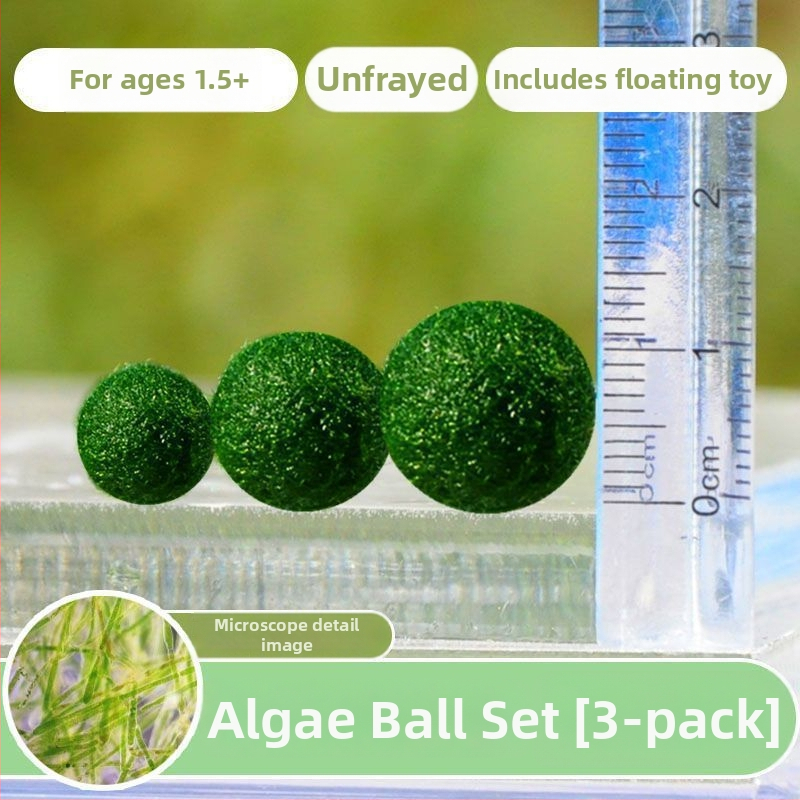 Bilă Marimo – Micro peisaj în sticlă ecologică, plantă acvatică hidroponică, cadou gata