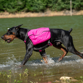 Rucsac multifuncțional pentru animale de companie | Nailon | Lovelonglong | Culoare solidă | Duritate medie