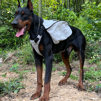 Rucsac multifuncțional pentru animale de companie | Nailon | Lovelonglong | Culoare solidă | Duritate medie