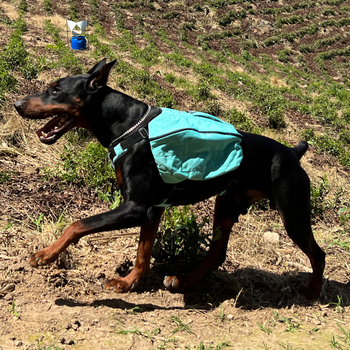 Rucsac multifuncțional pentru animale de companie | Nailon | Lovelonglong | Culoare solidă | Duritate medie