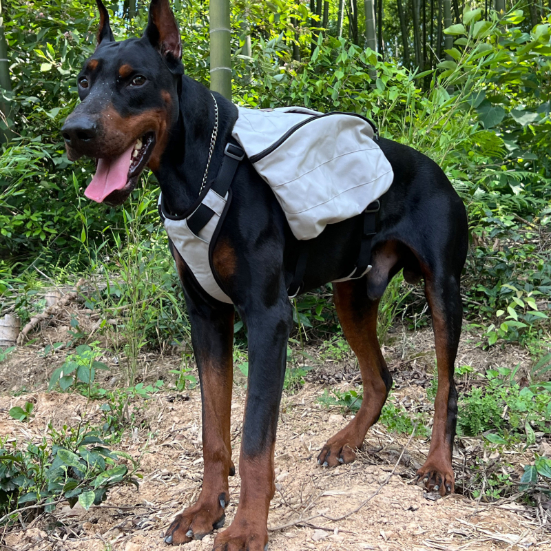 Rucsac multifuncțional pentru animale de companie | Nailon | Lovelonglong | Culoare solidă | Duritate medie