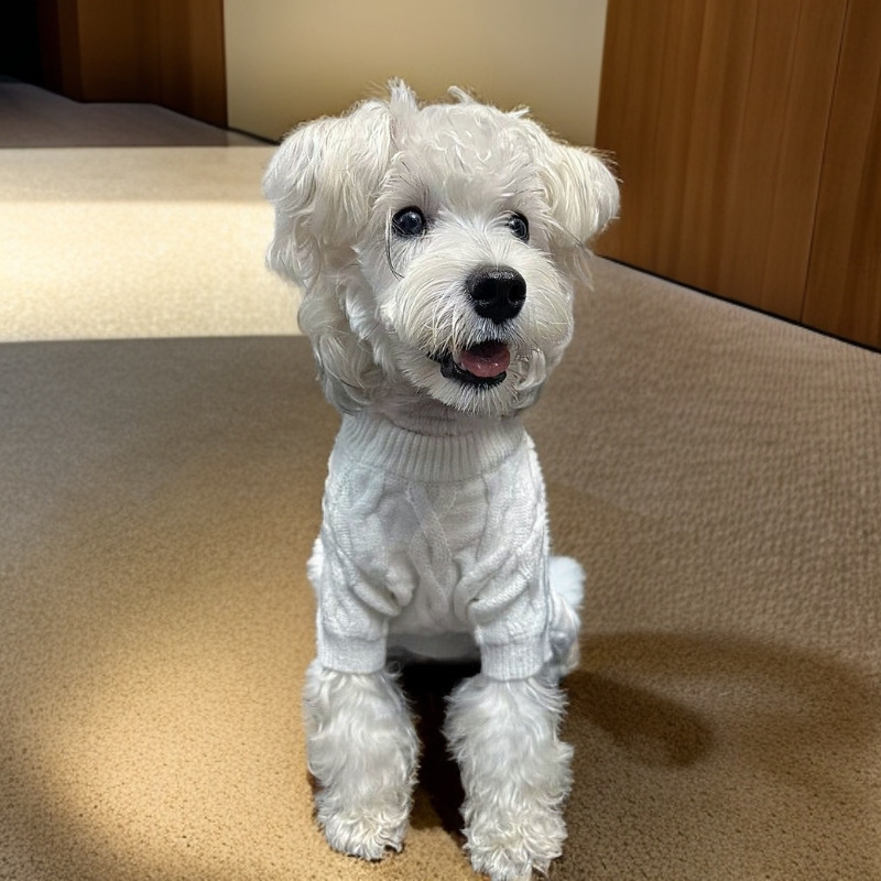 Pulover tricotat pentru câini – lână, stil japonez și coreean, haine pentru animale de companie unisex