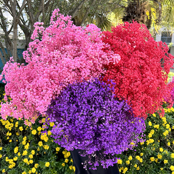 Букет Gypsophila от вечни цветя, 120 g – подходящ за подарък: сватба, рожден ден, дипломиране