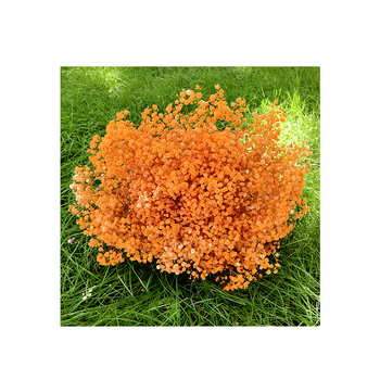 Букет Gypsophila от вечни цветя, 120 g – подходящ за подарък: сватба, рожден ден, дипломиране