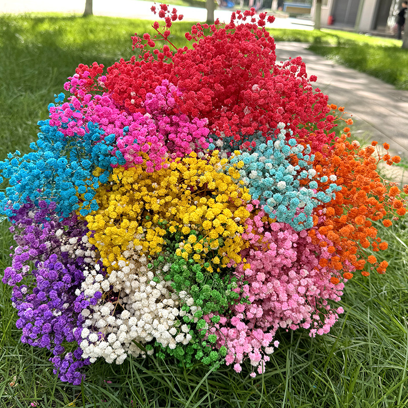 Букет Gypsophila от вечни цветя, 120 g – подходящ за подарък: сватба, рожден ден, дипломиране