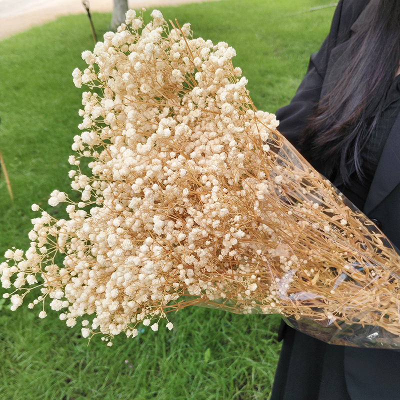 Букет Gypsophila от вечни цветя, 120 g – подходящ за подарък: сватба, рожден ден, дипломиране