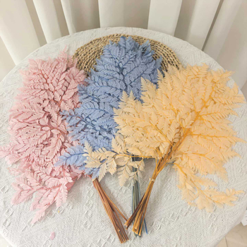 Frunză de ferigă conservată pentru decor casnic, stil INS, Material: flori conservate, Varietate: ferigă