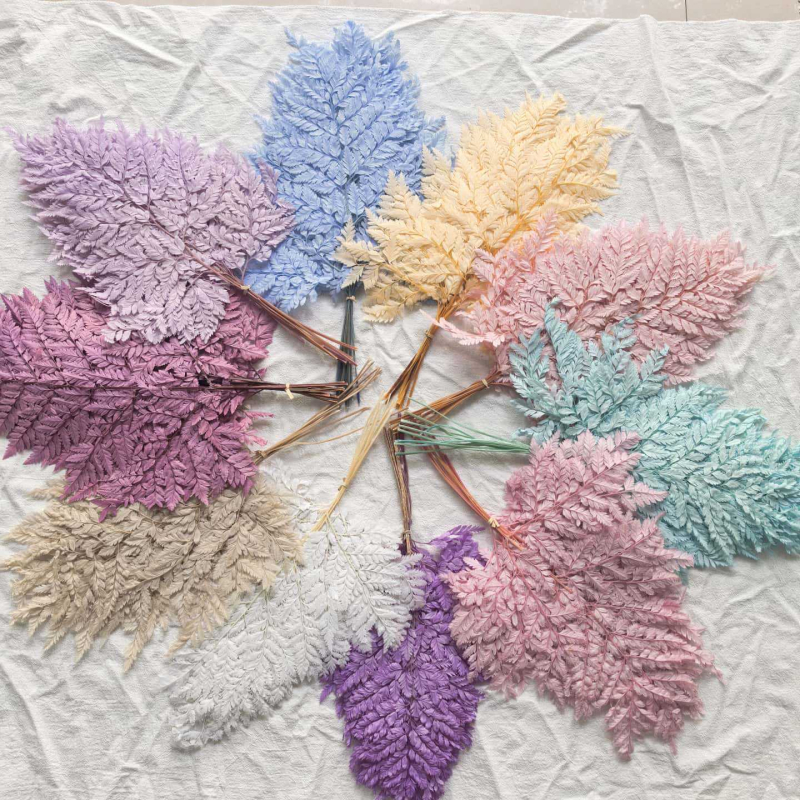 Frunză de ferigă conservată pentru decor casnic, stil INS, Material: flori conservate, Varietate: ferigă