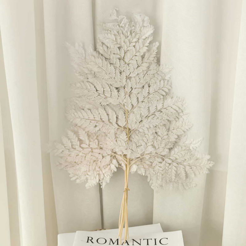 Frunză de ferigă conservată pentru decor casnic, stil INS, Material: flori conservate, Varietate: ferigă