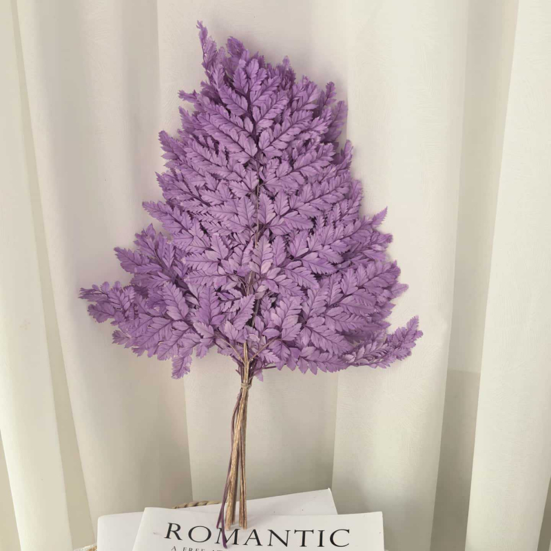 Frunză de ferigă conservată pentru decor casnic, stil INS, Material: flori conservate, Varietate: ferigă