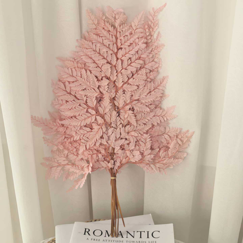 Frunză de ferigă conservată pentru decor casnic, stil INS, Material: flori conservate, Varietate: ferigă