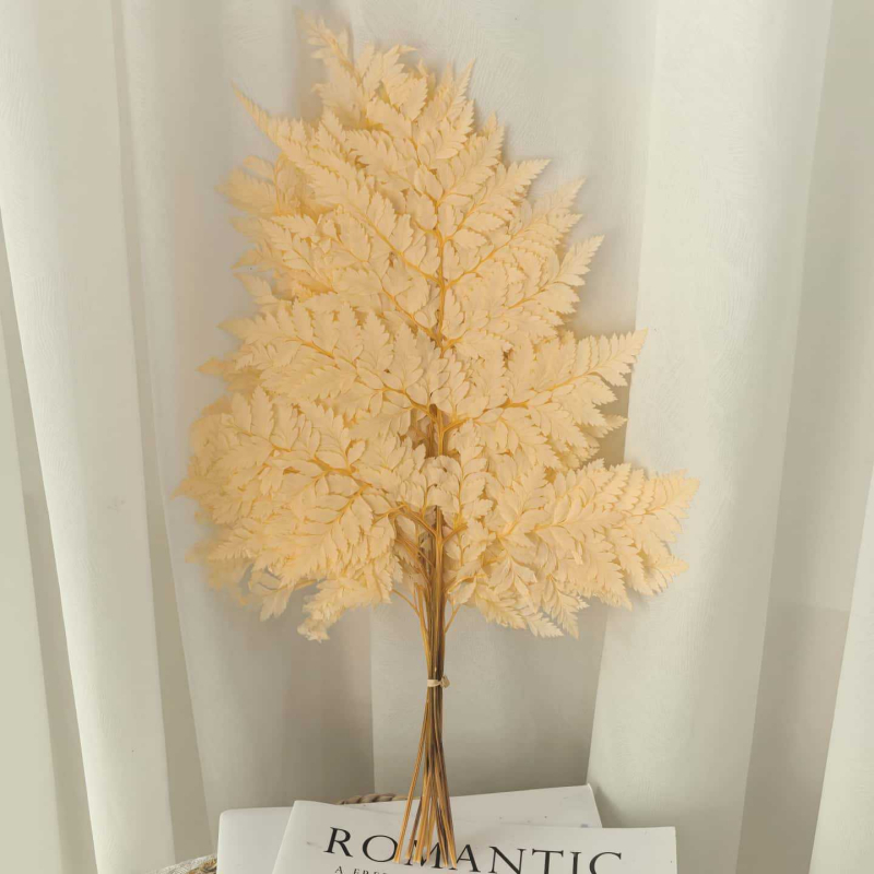 Frunză de ferigă conservată pentru decor casnic, stil INS, Material: flori conservate, Varietate: ferigă