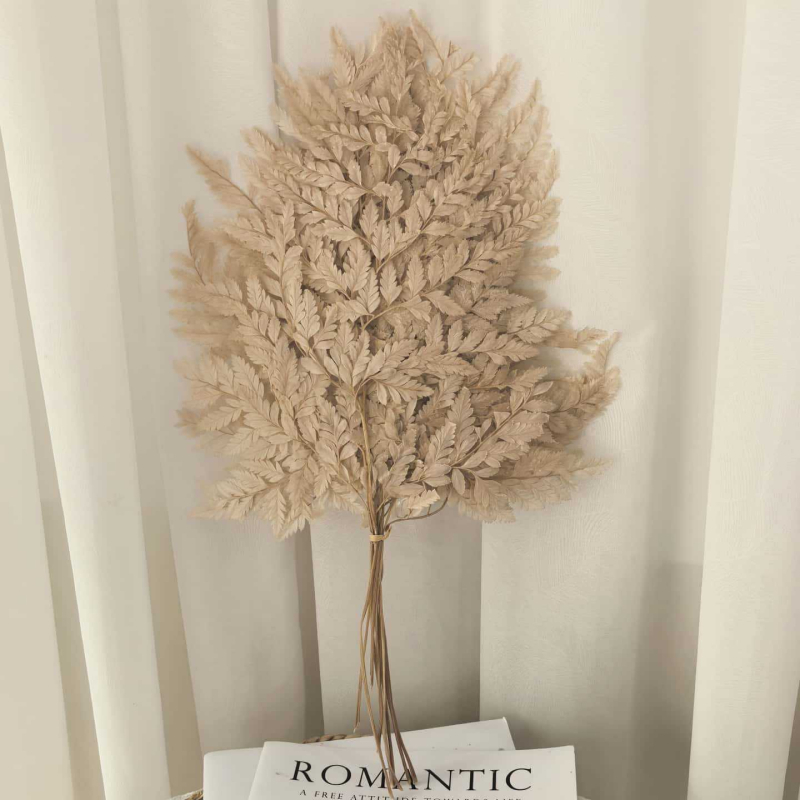 Frunză de ferigă conservată pentru decor casnic, stil INS, Material: flori conservate, Varietate: ferigă