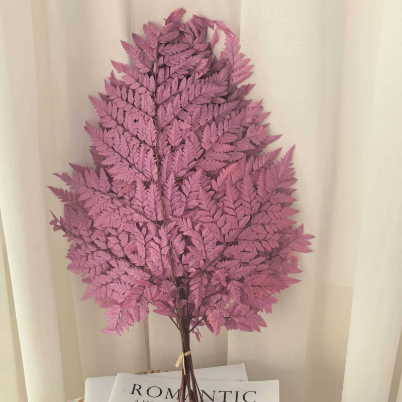 Frunză de ferigă conservată pentru decor casnic, stil INS, Material: flori conservate, Varietate: ferigă