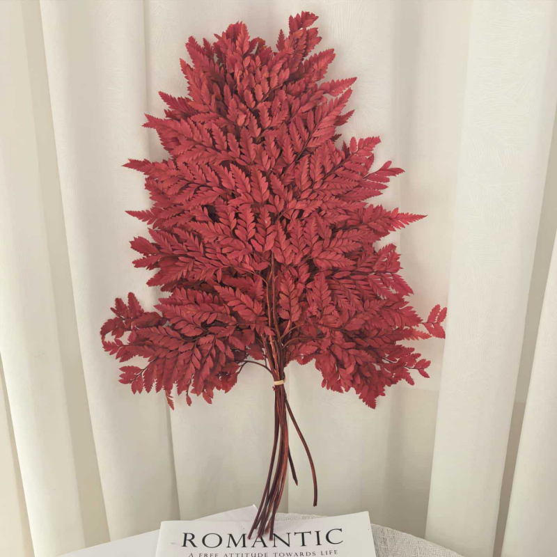 Frunză de ferigă conservată pentru decor casnic, stil INS, Material: flori conservate, Varietate: ferigă