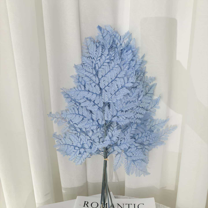 Frunză de ferigă conservată pentru decor casnic, stil INS, Material: flori conservate, Varietate: ferigă