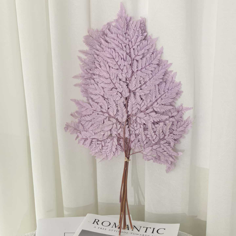 Frunză de ferigă conservată pentru decor casnic, stil INS, Material: flori conservate, Varietate: ferigă