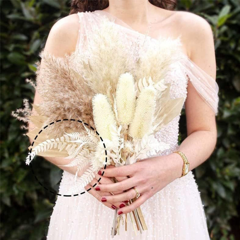 Вечни цветя, алпийска папрат, сухи декоративни листа, комплект 10 бр., реквизит за снимки