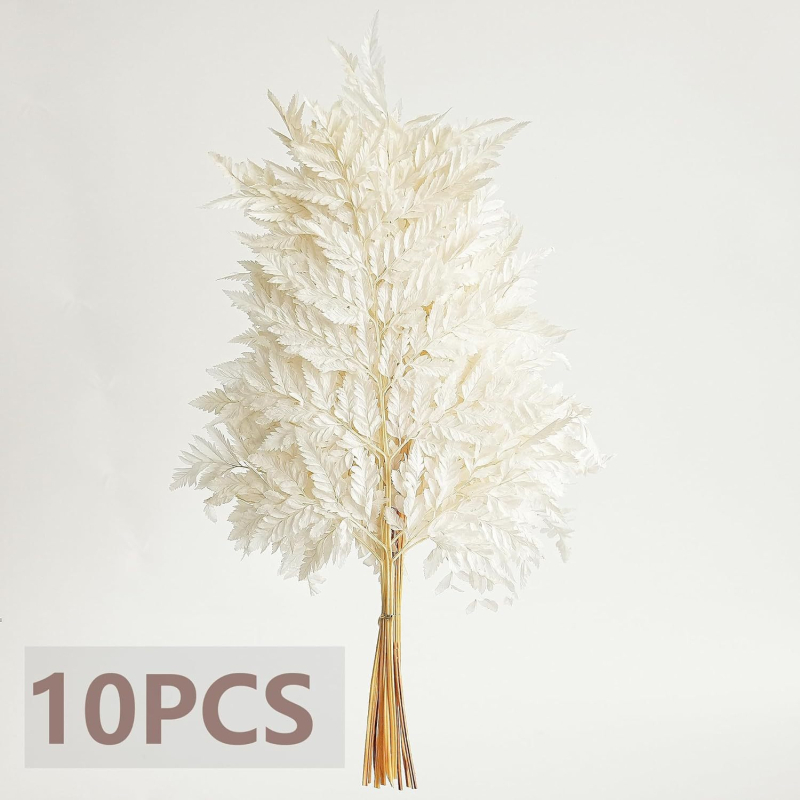 Вечни цветя, алпийска папрат, сухи декоративни листа, комплект 10 бр., реквизит за снимки