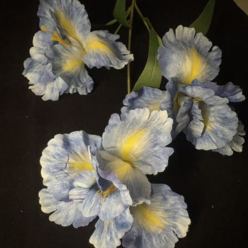 Umjetni iris svilenih cvjetova za vjenčanja i kućni dekor, rekviziti za fotografiju; materijal: plastika i svila; izrada: stiliziranje, bojanje, polu‑ručna i polu‑mehanička