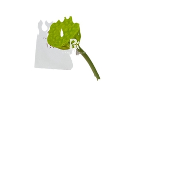 Runzhi umelecký lotos s listom – hodvábny lotos, čínske štýlo chinoiserie, svadobná dekorácia a rekvizity pre fotografiu (Značka Runzhi; Materiál: hodváb; Použitie: svadba, rekvizity pre fotografiu; Štýl: chinoiserie)