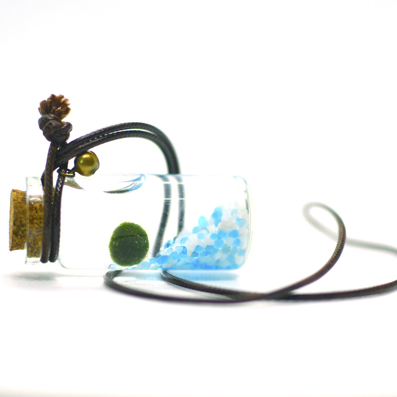 Staklena eco boca s marimo – mini vodeni krajolik, hidroponika, prilagodljiva, originalni dizajn