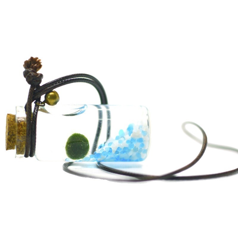 Staklena eco boca s marimo – mini vodeni krajolik, hidroponika, prilagodljiva, originalni dizajn