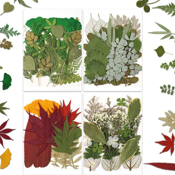 DIY készlet szárított levelekkel és valódi virágokkal, kézzel készített növényi példányok díszítésre, 21 darab