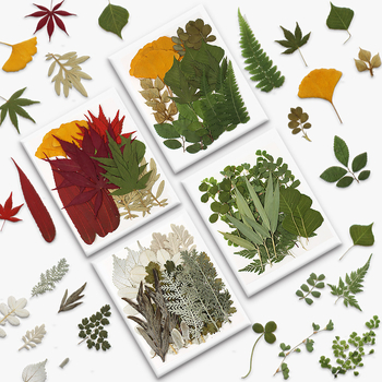 DIY készlet szárított levelekkel és valódi virágokkal, kézzel készített növényi példányok díszítésre, 21 darab