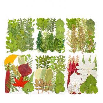 DIY készlet szárított levelekkel és valódi virágokkal, kézzel készített növényi példányok díszítésre, 21 darab