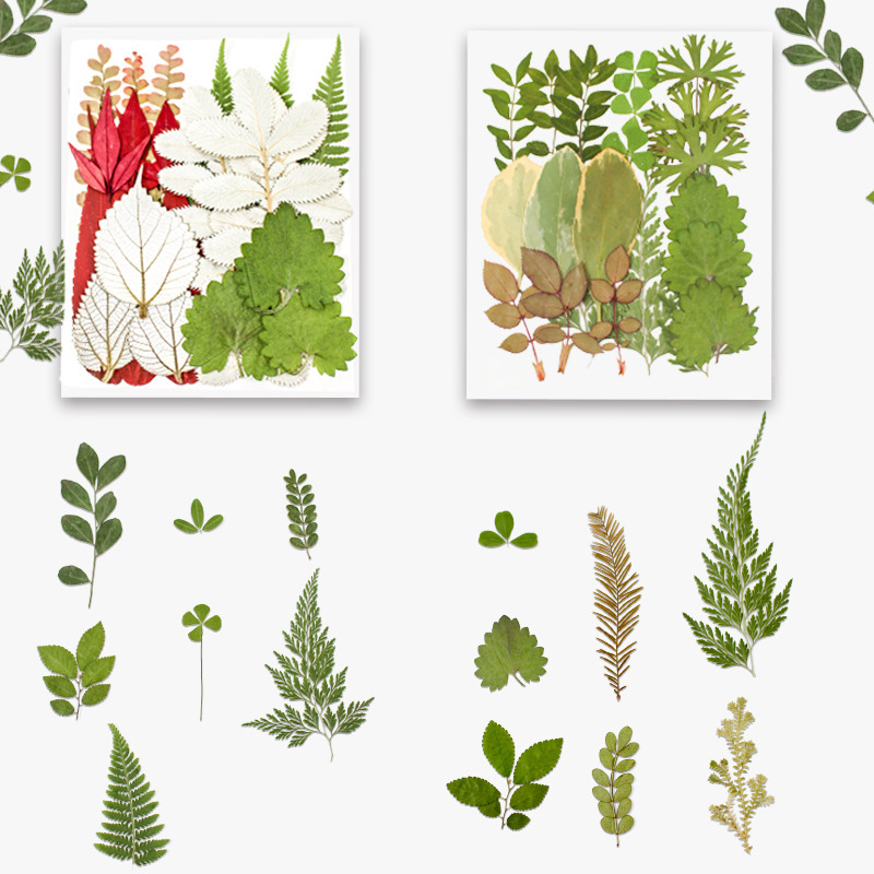 DIY készlet szárított levelekkel és valódi virágokkal, kézzel készített növényi példányok díszítésre, 21 darab