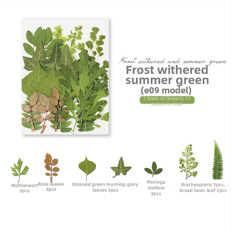 DIY készlet szárított levelekkel és valódi virágokkal, kézzel készített növényi példányok díszítésre, 21 darab