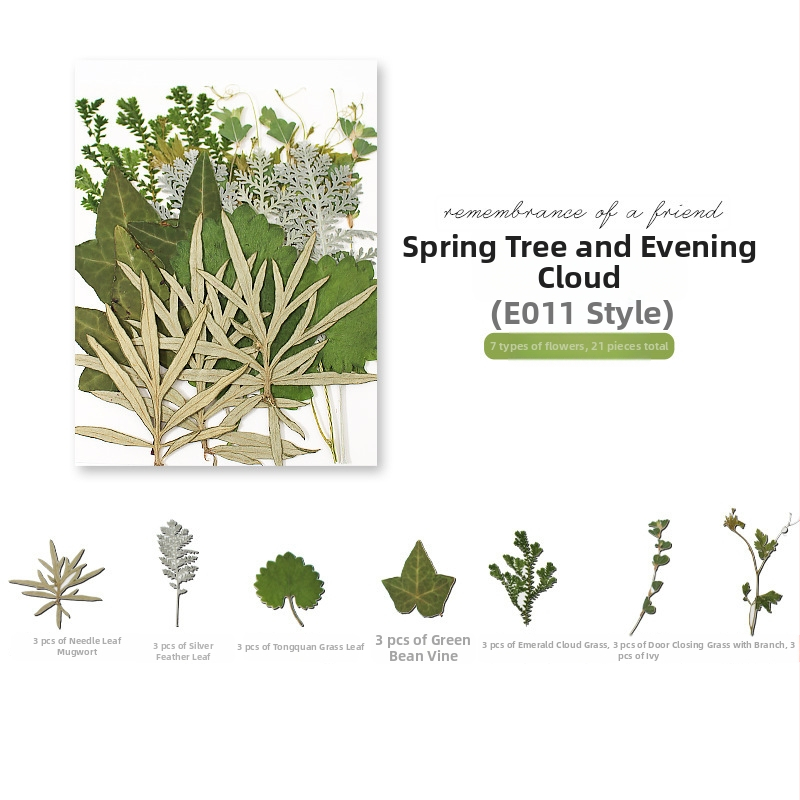 DIY készlet szárított levelekkel és valódi virágokkal, kézzel készített növényi példányok díszítésre, 21 darab