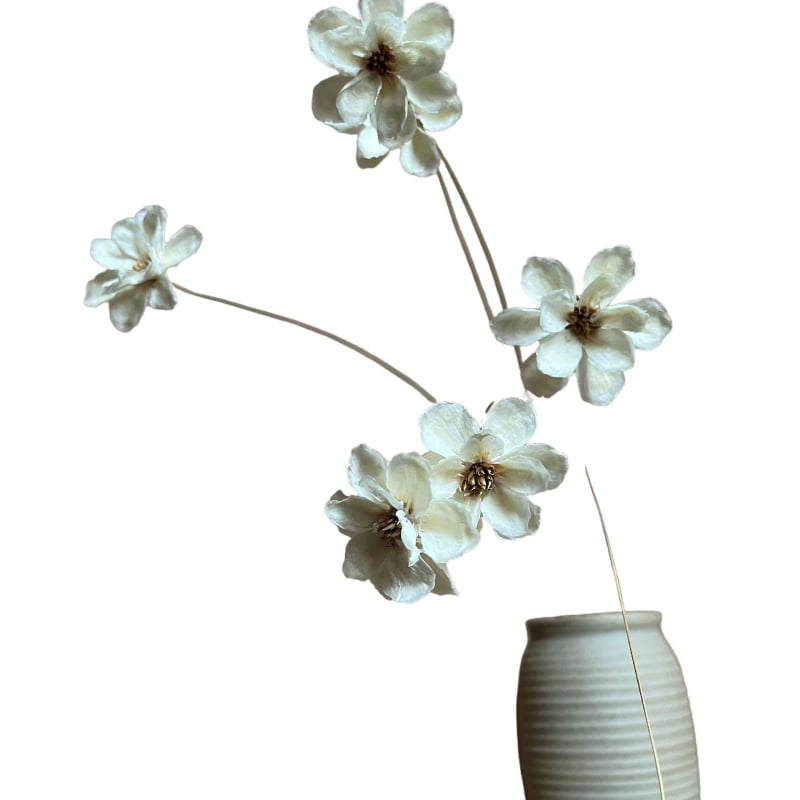 Huanyou Floare Veșnică – Trandafir uscat, cu clopot de argint, lucrat manual, cadou pentru nunți, zile de naștere și amintiri