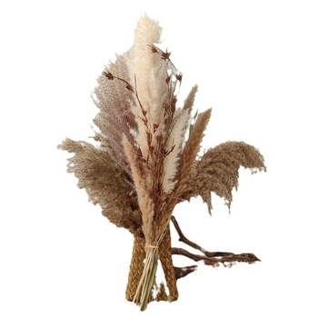 Szárított nád virágszálakból álló csokor — Lover Grass fajta, száraz levélerek, színezésmentes, Jungyu márka
