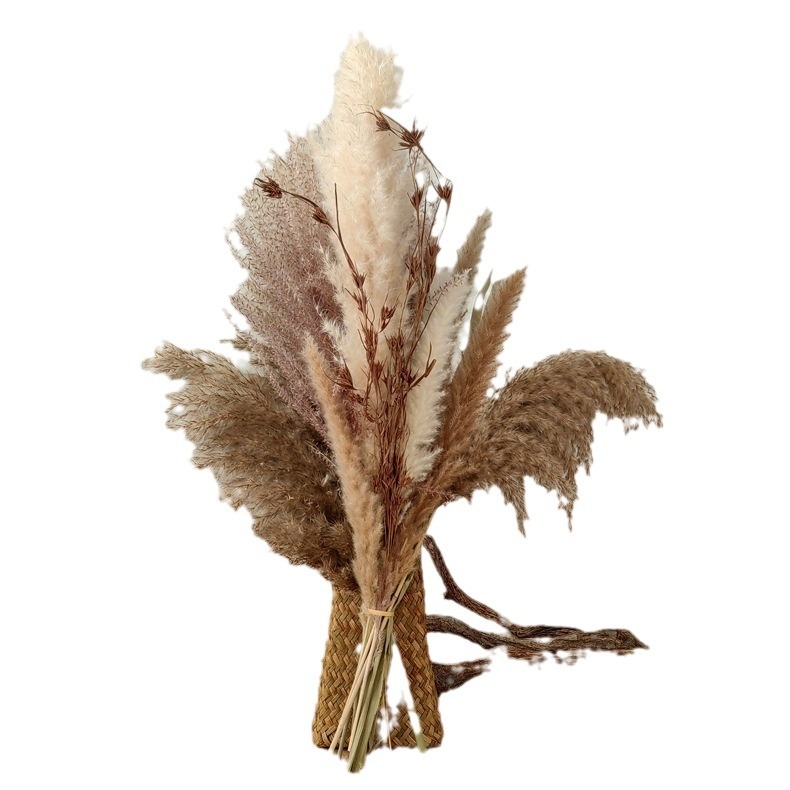 Szárított nád virágszálakból álló csokor — Lover Grass fajta, száraz levélerek, színezésmentes, Jungyu márka