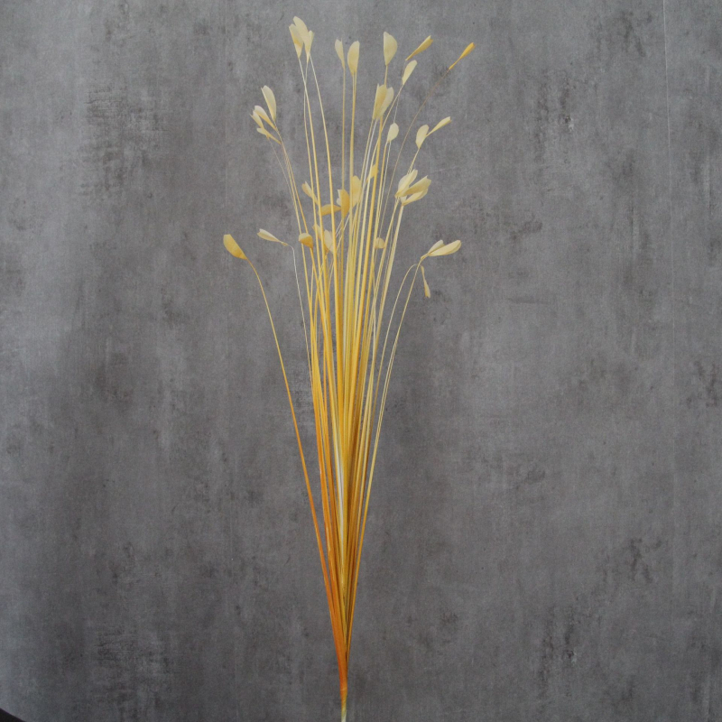 Simulated Peacock Grass vjenčani ukras - plastika, stiliziranje i ubrizgavanje, model 35541664233, za vjenčanja, vanjske prostore i foto rekvizite