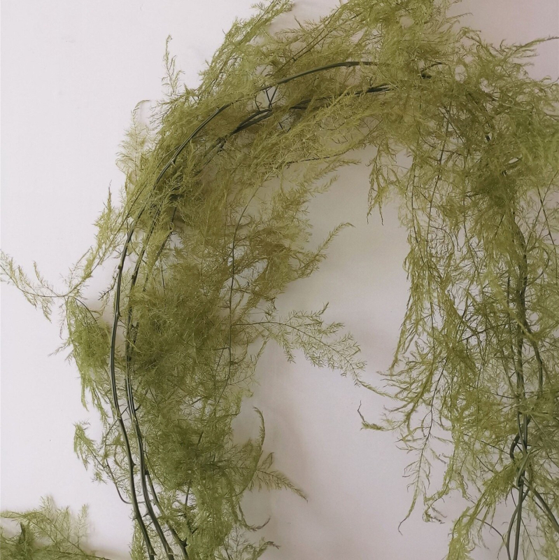 Lebegő üvegben elhelyezett száraz virágokból álló kompozíció otthoni falidekorhoz; Anyag: örök virág; Márka: Flower; Csomagolás: opp bag.