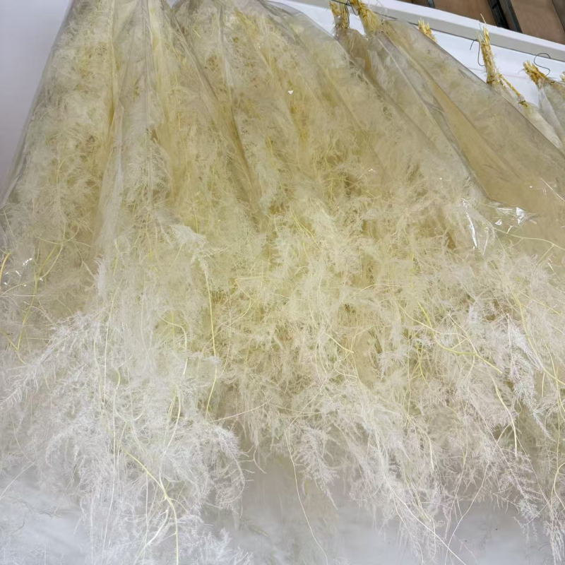 Lebegő üvegben elhelyezett száraz virágokból álló kompozíció otthoni falidekorhoz; Anyag: örök virág; Márka: Flower; Csomagolás: opp bag.