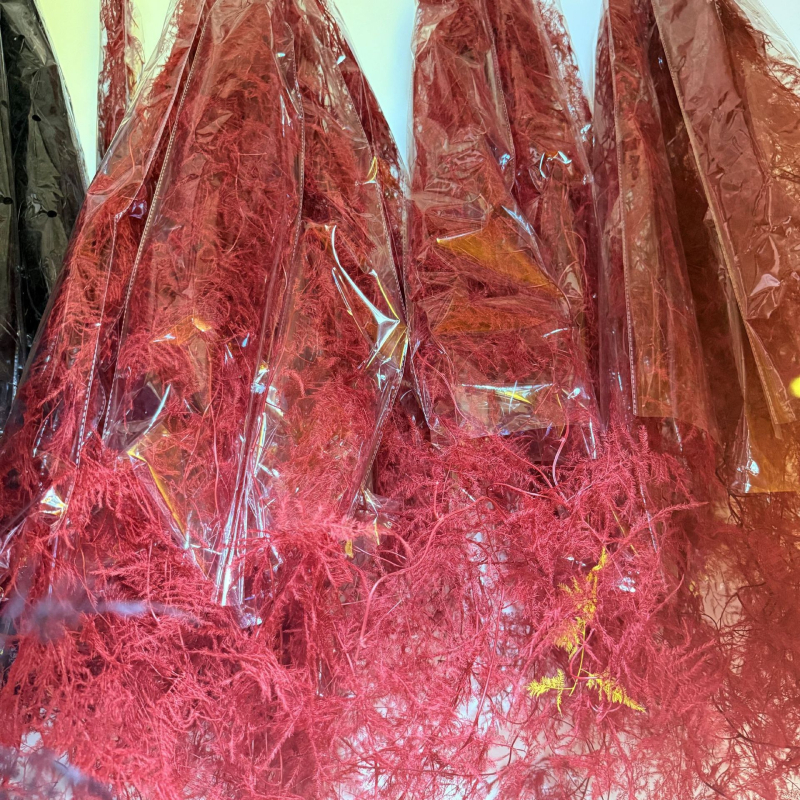 Lebegő üvegben elhelyezett száraz virágokból álló kompozíció otthoni falidekorhoz; Anyag: örök virág; Márka: Flower; Csomagolás: opp bag.