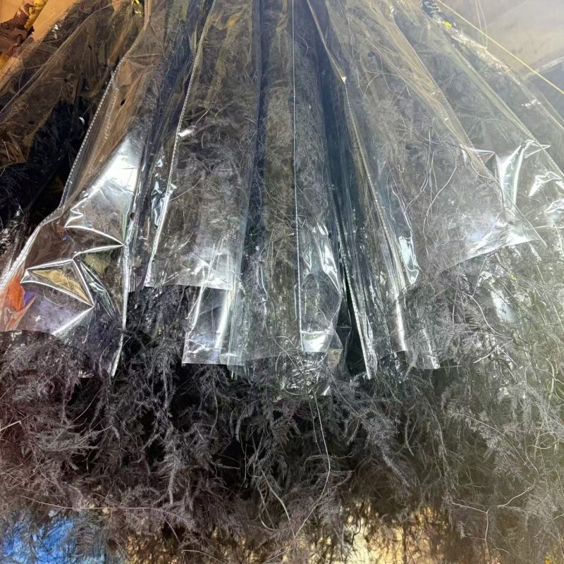Lebegő üvegben elhelyezett száraz virágokból álló kompozíció otthoni falidekorhoz; Anyag: örök virág; Márka: Flower; Csomagolás: opp bag.